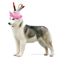 Pet birthday dog costumes party city
